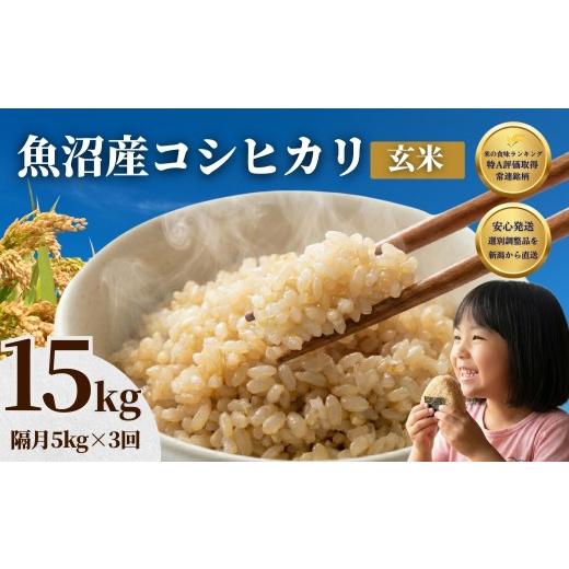 ふるさと納税 玄米 新潟県 小千谷市 先行予約 魚沼産コシヒカリ 玄米 定期便 5kg×3回 計15kg 隔月お届け 令和8年産 石抜き済 選別調整済 米太 | 2ヶ月に1回 …の画像