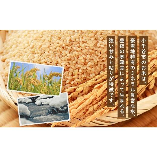 ふるさと納税 玄米 新潟県 小千谷市 先行予約 魚沼産コシヒカリ 玄米 定期便 5kg×3回 計15kg 隔月お届け 令和8年産 石抜き済 選別調整済 米太 | 2ヶ月に1回 …の画像