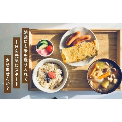 ふるさと納税 玄米 新潟県 小千谷市 先行予約 魚沼産コシヒカリ 玄米 定期便 5kg×3回 計15kg 隔月お届け 令和8年産 石抜き済 選別調整済 米太 | 2ヶ月に1回 …の画像
