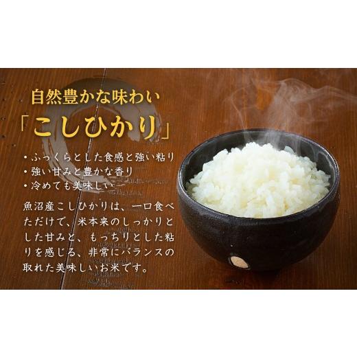 ふるさと納税 玄米 新潟県 小千谷市 先行予約 魚沼産コシヒカリ 玄米 定期便 5kg×3回 計15kg 隔月お届け 令和8年産 石抜き済 選別調整済 米太 | 2ヶ月に1回 …の画像