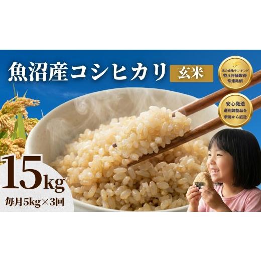 ふるさと納税 玄米 新潟県 小千谷市 先行予約 魚沼産コシヒカリ 玄米 定期便 5kg×3回 計15kg 毎月お届け 令和8年産 石抜き済 選別調整済 米太 | 3ヶ月連続 新…の画像