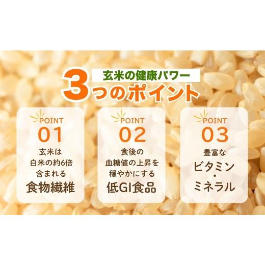 ふるさと納税 玄米 新潟県 小千谷市 先行予約 魚沼産コシヒカリ 玄米 定期便 5kg×3回 計15kg 毎月お届け 令和8年産 石抜き済 選別調整済 米太 | 3ヶ月連続 新…の画像