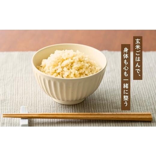 ふるさと納税 玄米 新潟県 小千谷市 先行予約 魚沼産コシヒカリ 玄米 定期便 5kg×3回 計15kg 毎月お届け 令和8年産 石抜き済 選別調整済 米太 | 3ヶ月連続 新…の画像