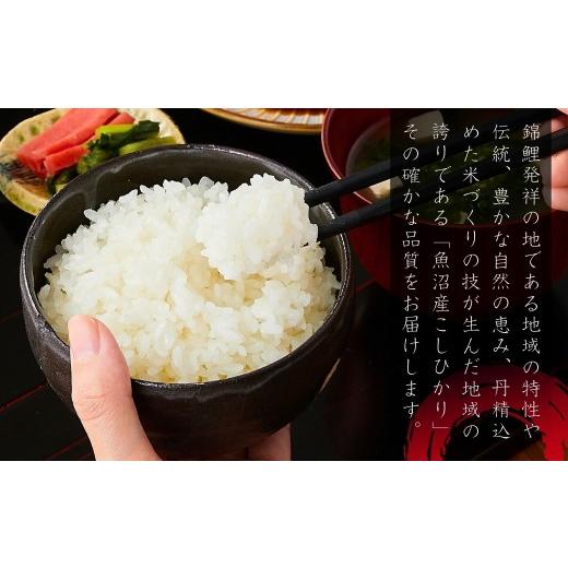 ふるさと納税 玄米 新潟県 小千谷市 先行予約 魚沼産コシヒカリ 玄米 定期便 5kg×3回 計15kg 毎月お届け 令和8年産 石抜き済 選別調整済 米太 | 3ヶ月連続 新…の画像