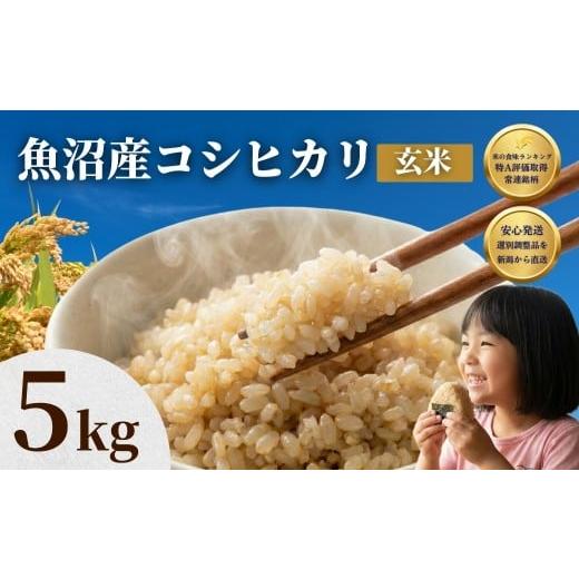ふるさと納税 玄米 新潟県 小千谷市 先行予約 魚沼産コシヒカリ 玄米 5kg 令和8年産 石抜き済 選別調整済 米太 | 新潟県産 こしひかり 魚沼玄米 健康 腸活 食…