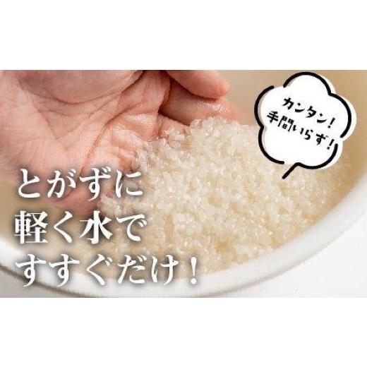 ふるさと納税 無洗米 新潟県 小千谷市 先行予約 魚沼産コシヒカリ 無洗米 定期便 5kg×3回 計15kg 令和8年産 隔月お届け 米太 | 2ヶ月に1回 新潟県産 こしひか…の画像