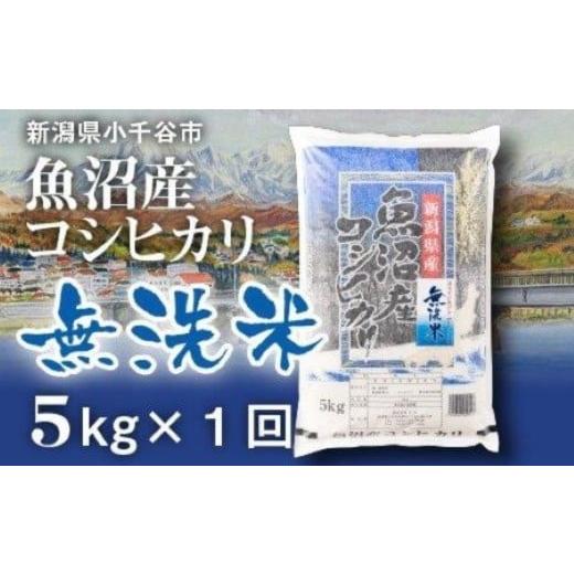 ふるさと納税 無洗米 新潟県 小千谷市 先行予約 魚沼産コシヒカリ 無洗米 5kg 令和8年産 米太 | 新潟県産 こしひかり お米 白米 5キロ 手間いらず 時短 節水 …