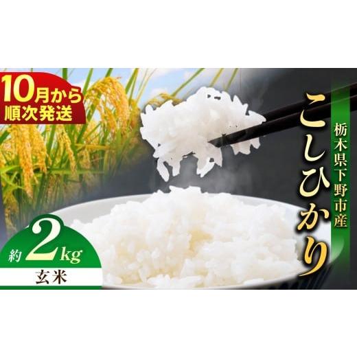 ふるさと納税 米 コシヒカリ 栃木県 下野市 先行予約 2026年10月以降発送 下野市産 コシヒカリ 2kg 玄米 | お米 こめ コメ こしひかり コシヒカリ 新米 栃木…