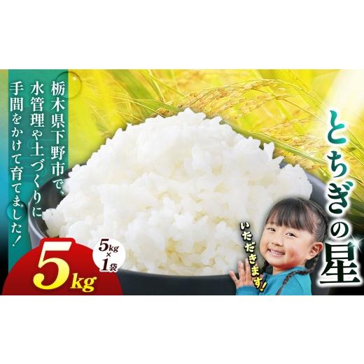 ふるさと納税 米 栃木県 下野市 下野市産 お米 とちぎの星 米 5kg | こめ コメ 白米 精米 栃木県 下野市 とちぎの星5kg | 10500円