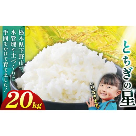 ふるさと納税 米 栃木県 下野市 下野市産 お米 とちぎの星 米 20kg | こめ コメ 白米 精米 栃木県 下野市 とちぎの星20kg | 40000円