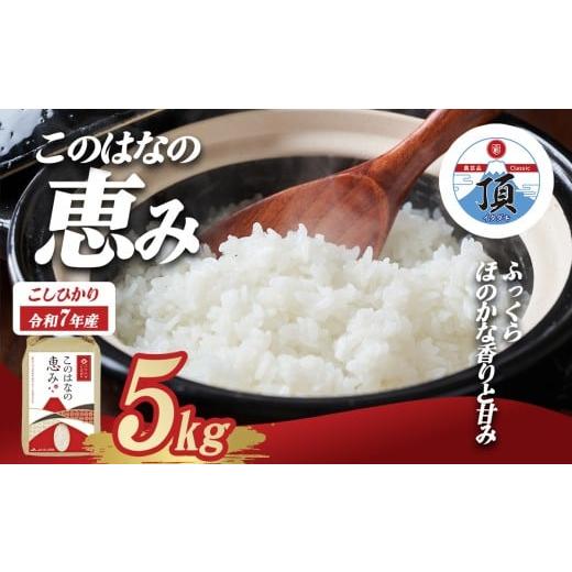 ふるさと納税 米 コシヒカリ 静岡県 小山町 令和7年度産 こしひかり「このはなの恵み」 5kg | 米 R7 こしひかり 精米 白米 お米 ブランド米 5kg こめ コメ エ…