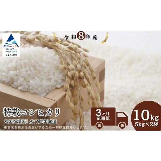 ふるさと納税 米 コシヒカリ 石川県 小松市 先行予約 定期便 令和8年産 特栽コシヒカリ 玄米10kg(5kg×2袋)×3ヶ月(毎月) 精米したて発送 精米 白米 こしひ…