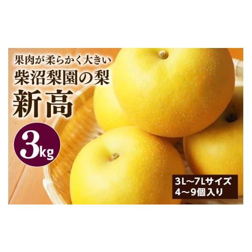 ふるさと納税 梨 茨城県 笠間市 柴沼梨園の梨(新高) 梨 3kg 大玉 4〜9個入り ナシ なし 国産 茨城 新高梨 秋 旬 フルーツ 果物 先行予約 9月下旬〜10月上旬…