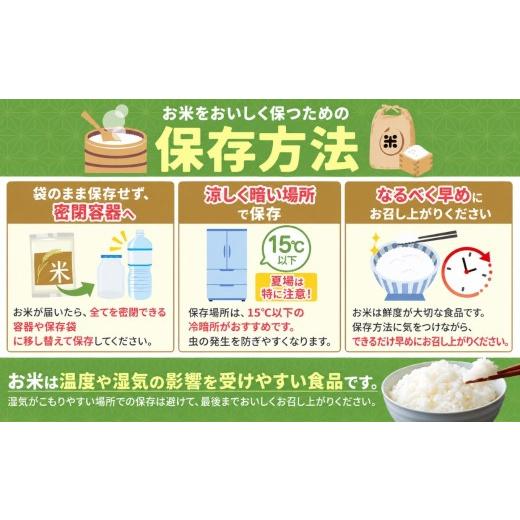ふるさと納税 米 コシヒカリ 長野県 塩尻市 令和8年産 信州米 長野県産