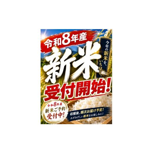 ふるさと納税 米 コシヒカリ 長野県 塩尻市 2026年先行予約 令和8年産