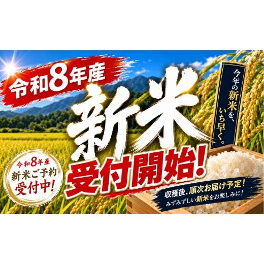 ふるさと納税 米 コシヒカリ 長野県 塩尻市 2026年先行予約 令和8年産