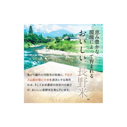 ふるさと納税 米 コシヒカリ 長野県 塩尻市 2026年先行予約 令和8年産