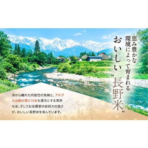 ふるさと納税 米 コシヒカリ 長野県 塩尻市 2026年先行予約 令和8年産