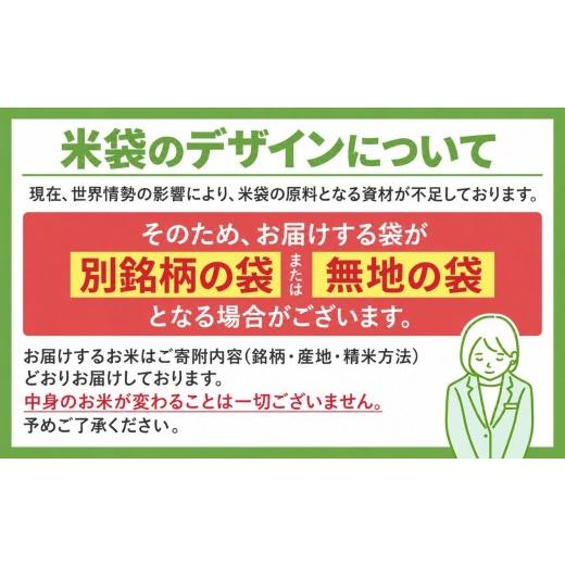 ふるさと納税 米 コシヒカリ 長野県 塩尻市 2026年先行予約 令和8年産