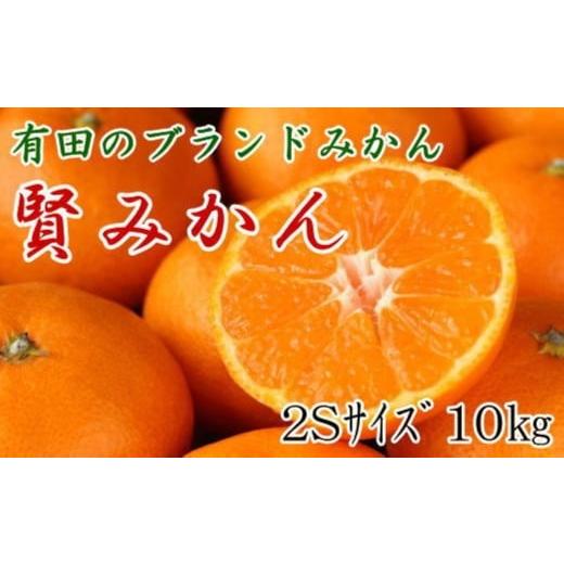 ふるさと納税 果物類 みかん 和歌山県 有田川町 秀品 有田のブランドみかん「賢みかん」10kg (2Sサイズ)[2026年11月中旬頃より順次発送]