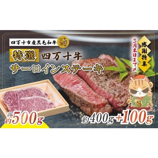 ふるさと納税 牛肉 サーロイン 高知県 四万十市 感謝・期間限定100g付き 100個限定 牧場直送 四万十牛(メス牛)特選サーロインステーキ約500g(400g+100g)…
