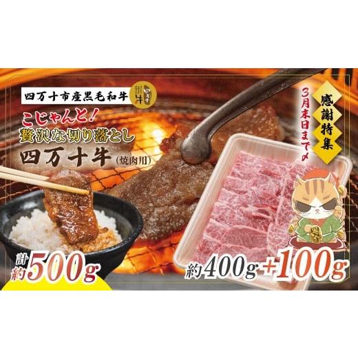 ふるさと納税 牛肉 ロース 高知県 四万十市 感謝・期間限定100g付き 100個限定 牧場直送 四万十牛(メス牛)こじゃんと贅沢な切り落とし(焼肉用)約500g(40…