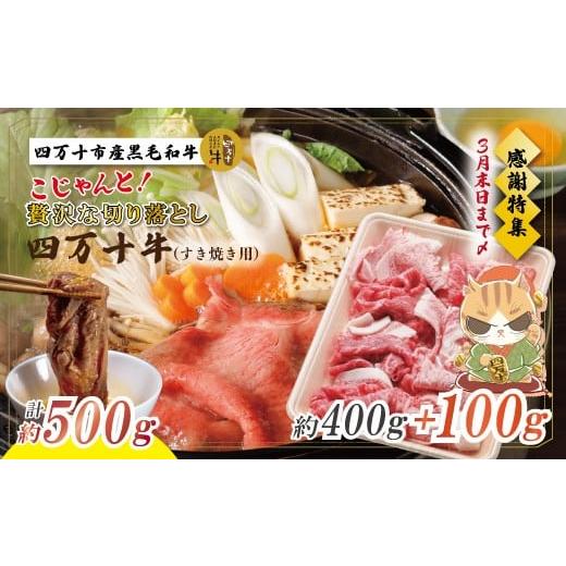 ふるさと納税 牛肉 ロース 高知県 四万十市 感謝・期間限定100g付き 100個限定 牧場直送 四万十牛(メス牛)こじゃんと贅沢な切り落とし(すき焼用)約500g(…