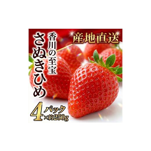 ふるさと納税 いちご 香川県 三豊市 横山さんちのいちご さぬきひめ4パック
