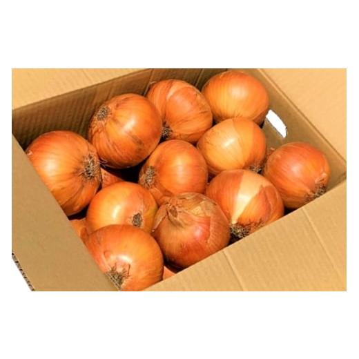 ふるさと納税 野菜類 玉ねぎ 長崎県 平戸市 野菜 玉ねぎ うまか 吊り 玉葱 約8kg 期間限定発送 しげさん農園 長崎県 平戸市 hr42bgy420281 やさい タマネギ た…の画像