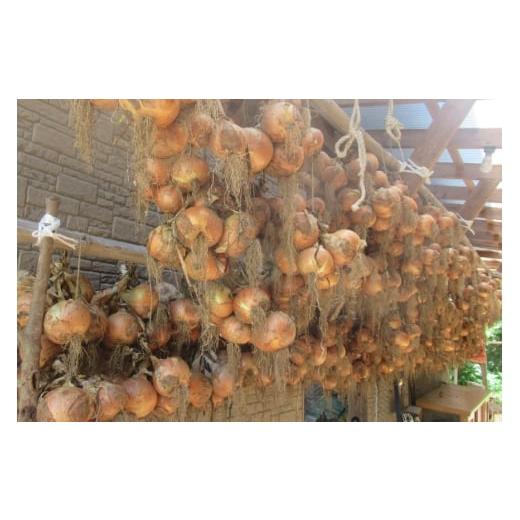 ふるさと納税 野菜類 玉ねぎ 長崎県 平戸市 野菜 玉ねぎ うまか 吊り 玉葱 約8kg 期間限定発送 しげさん農園 長崎県 平戸市 hr42bgy420281 やさい タマネギ た…の画像