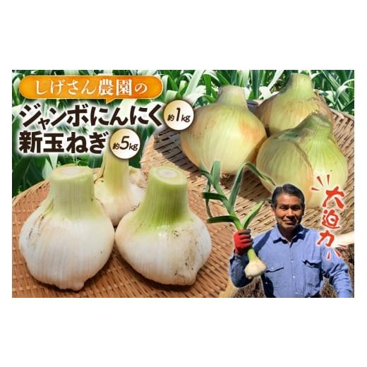 ふるさと納税 野菜類 長崎県 平戸市 野菜 にんにく 玉ねぎ セット ジャンボにんにく 約1kg 新玉葱 約5kg 詰め合わせ 期間限定発送 しげさん農園 長崎県 平戸市…
