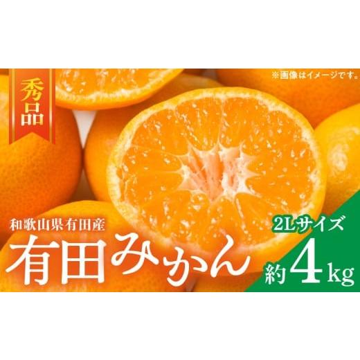 ふるさと納税 果物類 みかん 和歌山県 湯浅町 ZD7008_ 2026年先行予約 秀品 和歌山有田みかん約4kg(2Lサイズ)