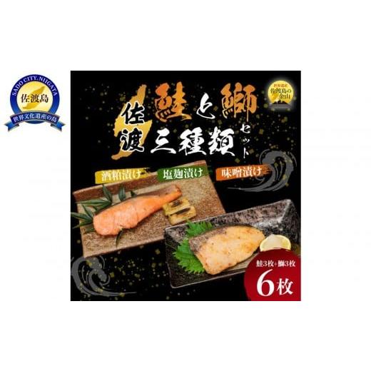 ふるさと納税 漬魚(味噌・粕等) 味噌漬け 新潟県 佐渡市 鮭と鰤[2026年2月発送・佐渡水揚げ限定] 新潟県佐渡 日本海の宝・佐渡から届く、極上の海の幸 漬…