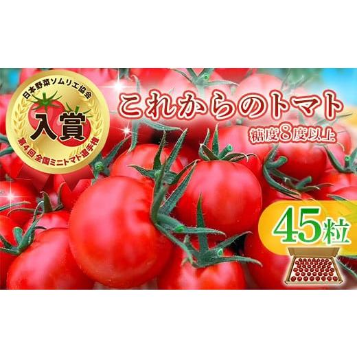 ふるさと納税 トマト ミニトマト 新潟県 長岡市 Q0-01これからのトマト 45粒