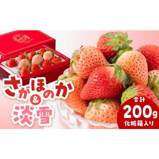 ふるさと納税 いちご 佐賀県 白石町 農家直送 淡雪&さがほのか 赤白いちごセット計200g(化粧箱入り) 岸川農園 いちご 苺 イチゴ さがほのか あわゆき 淡雪…