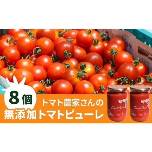 ふるさと納税 缶詰・瓶詰 野菜類 長野県 根羽村 保存料・食塩・化学調味料不使用 トマト農家さんのトマトピューレ 8個 ( 320g×8個 ) トマト 野菜 ピューレ パ…