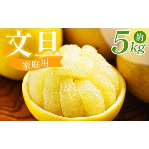 ふるさと納税 みかん・柑橘類 高知県 香南市 文旦 5kg 家庭用 混合(L〜2Lサイズ) 文旦 高知 訳あり ぶんたん ブンタン わけあり 5キロ 果物 柑橘 フルーツ …