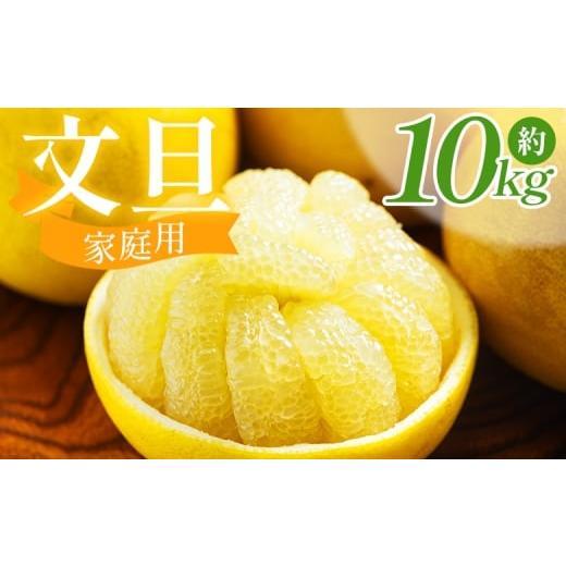 ふるさと納税 みかん・柑橘類 高知県 香南市 文旦 10kg 家庭用 混合(L〜2Lサイズ) 文旦 高知 訳あり ぶんたん ブンタン わけあり 10キロ 果物 柑橘 フルーツ…