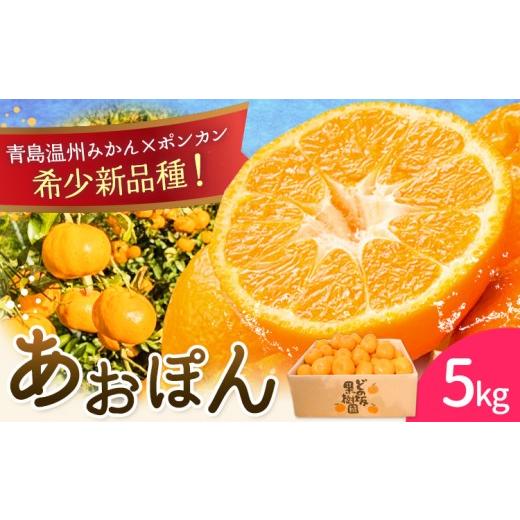 ふるさと納税 果物類 みかん 和歌山県 日高川町 7 先行予約 あおぽん ( 青島温州みかん × デコポン ) みかん デコポン 約 5kg どの坂果樹園[2027年1月下旬-2…