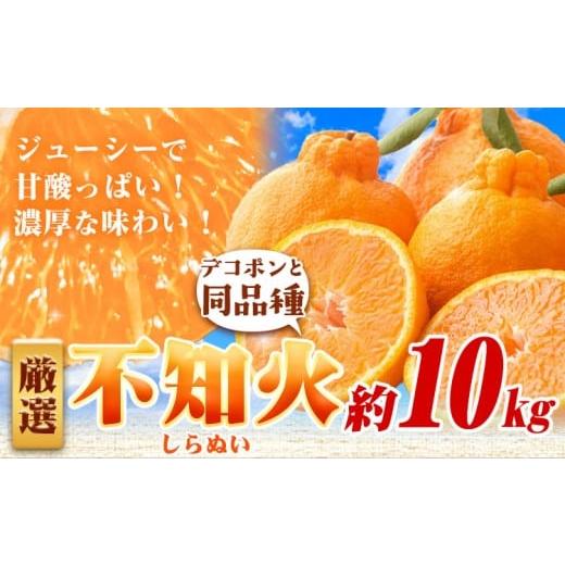 ふるさと納税 みかん・柑橘類 和歌山県 日高町 厳選 不知火 約10kg+250g(傷み補償分) デコポン と同品種・人気の春みかん 池田鹿蔵農園@日高町(池田農園株…