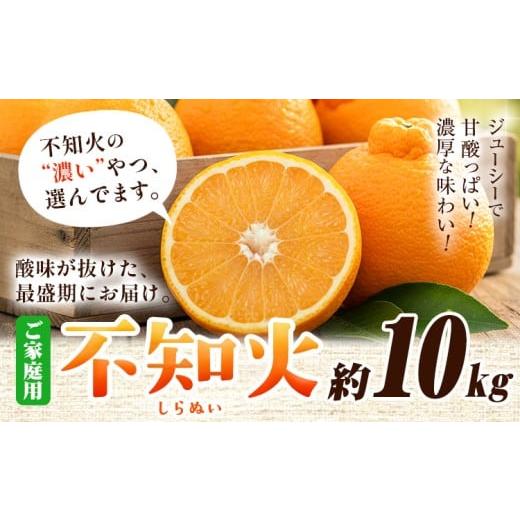 ふるさと納税 みかん・柑橘類 デコポン 和歌山県 日高町 プリッと濃厚 ご家庭用 不知火 約10kg+250g(傷み補償) 池田鹿蔵農園 @日高町 [2月上旬-3月末頃出荷…