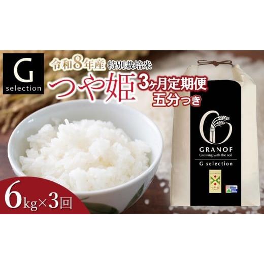 ふるさと納税 米 つや姫 山形県 鶴岡市 令和8年産先行予約 定期便3ヶ月 特別栽培米 Gセレクション つや姫「五分つき」 6kg (6kg×1)×3ヶ月 山形県鶴岡市産 …