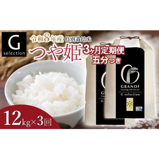ふるさと納税 米 つや姫 山形県 鶴岡市 令和8年産先行予約 定期便3ヶ月 特別栽培米 Gセレクション つや姫 「五分つき」 12kg (6kg×2袋)×3ヶ月 山形県鶴岡市…