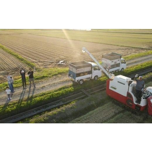 ふるさと納税 米 山形県 鶴岡市 令和8年産先行予約 定期便3ヶ月 特別栽培米 Gセレクション 雪若丸「五分つき」 6kg (6kg×1)×3ヶ月 山形県鶴岡市産　株式会…