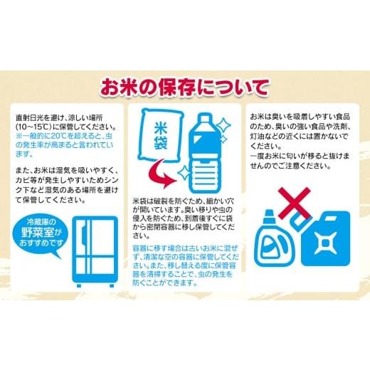 ふるさと納税 米 山形県 鶴岡市 令和8年産先行予約 定期便3ヶ月 特別栽培米 Gセレクション 雪若丸「五分つき」 6kg (6kg×1)×3ヶ月 山形県鶴岡市産　株式会…
