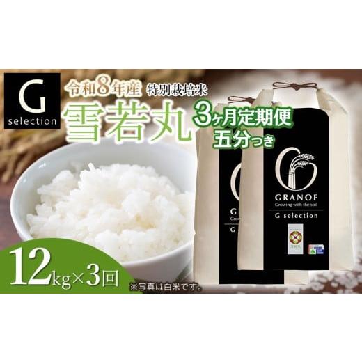 ふるさと納税 米 山形県 鶴岡市 令和8年産先行予約 定期便3ヶ月 特別栽培米 Gセレクション 雪若丸「五分つき」 12kg (6kg×2袋)×3ヶ月 山形県鶴岡市産 株式…