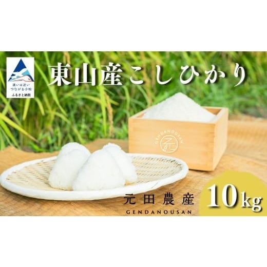 ふるさと納税 米 コシヒカリ 石川県 小松市 先行予約 令和8年産 コシヒカリ 精米 10kg お米 白米 小松市 石川県 こしひかり 元田農産 10kg
