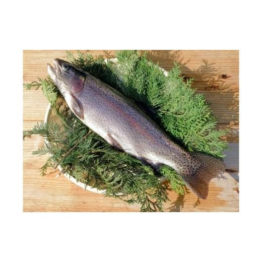 ふるさと納税 寿司 群馬県 東吾妻町  No.5819-0399 寿司 厳選された群馬の地魚押し寿司 3点セット 魚 さかなの画像