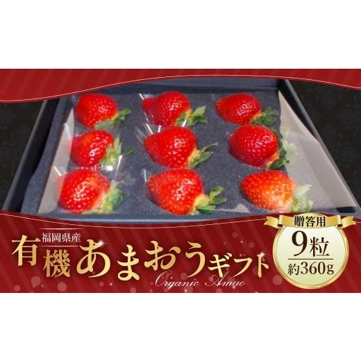 ふるさと納税 いちご 福岡県 筑後市 贈答用有機あまおうギフト 2026年1月上旬〜3月下旬頃発送予定 苺 いちご イチゴ 果物 くだもの フルーツ 国産 冷蔵 有機あ…