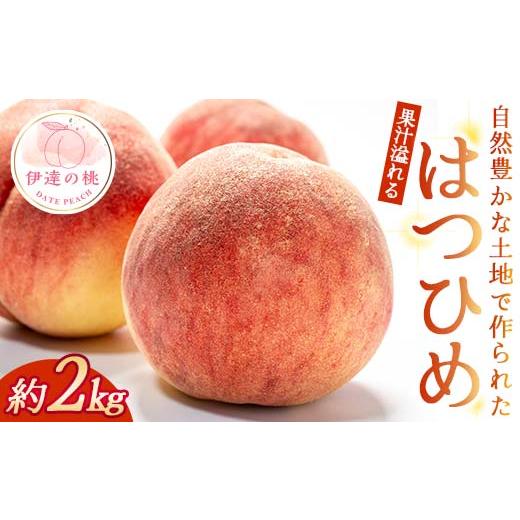 ふるさと納税 もも 福島県 伊達市 2026年出荷分先行予約 福島県産 はつひめ 約2kg 玉数はおまかせ はこざきフルーツ 伊達の桃 桃 フルーツ 果物 もも モモ mo…